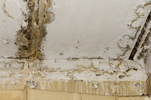 Professional Water damage restoration in Lilburn, GA